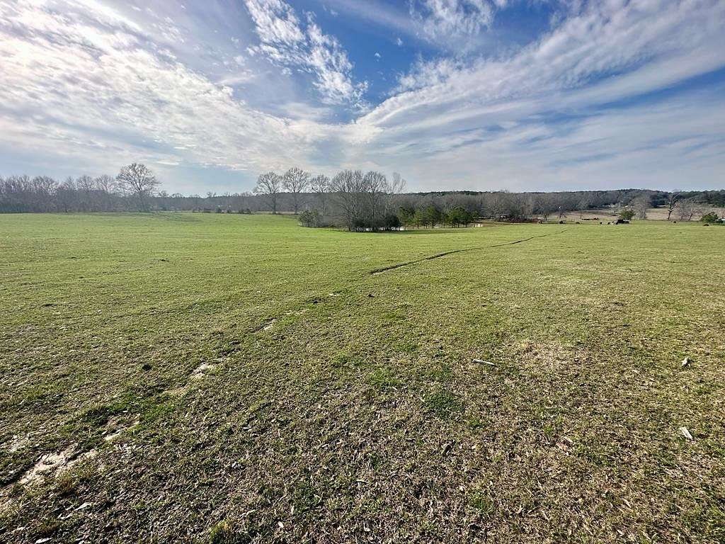 35.5 Acres of Land for Sale in Kentwood, Louisiana