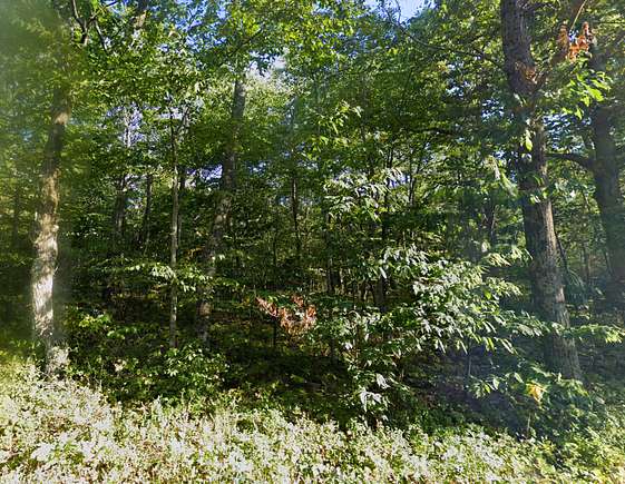 2.5 Acres of Residential Land for Sale in Augusta, West Virginia