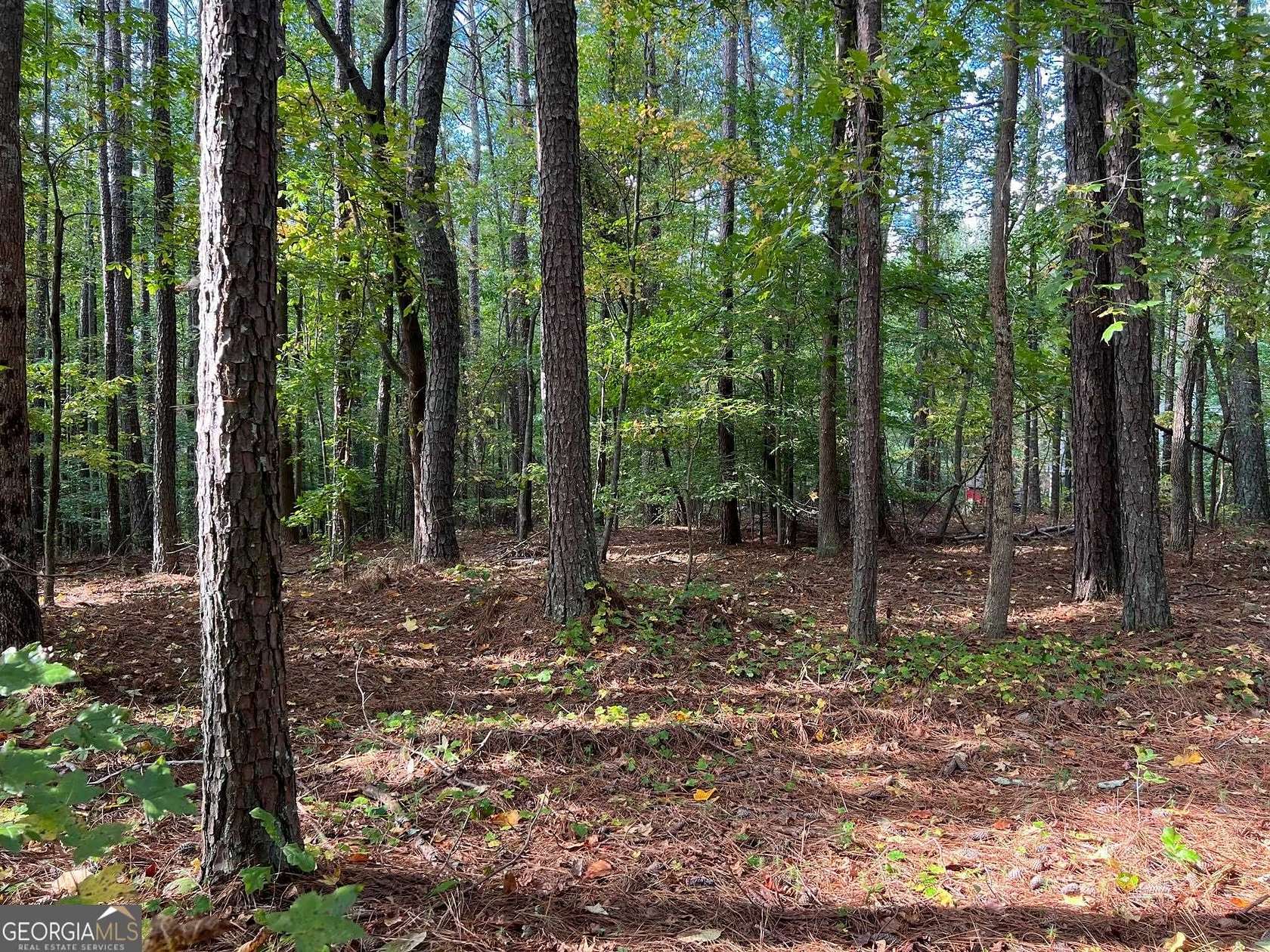 4.3 Acres of Residential Land for Sale in Cumming, Georgia