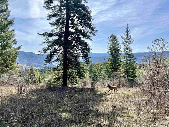 24.5 Acres of Land for Sale in Grangeville, Idaho