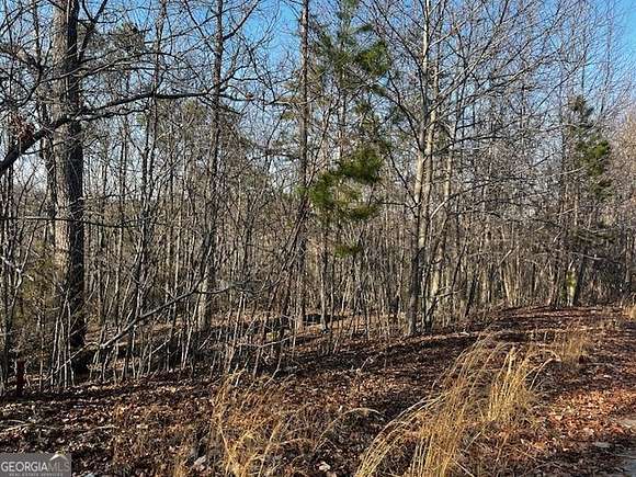 0.79 Acres of Residential Land for Sale in Baldwin, Georgia