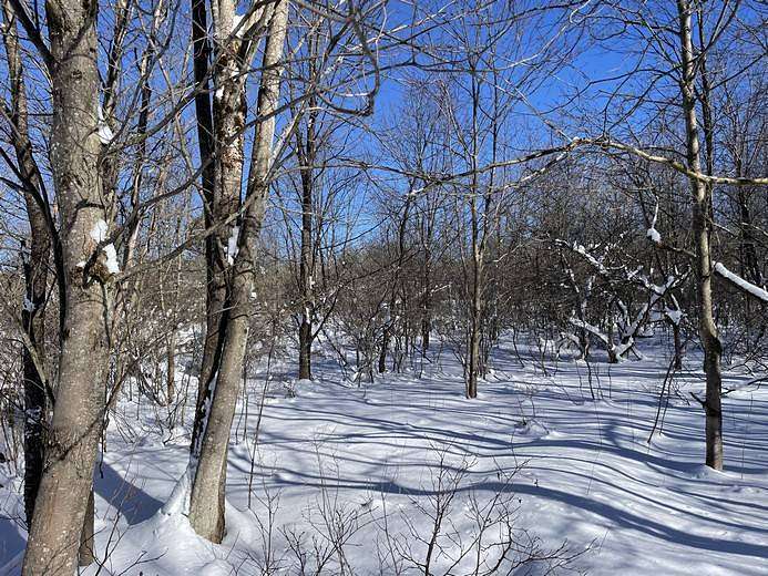 30.1 Acres of Recreational Land for Sale in Osceola, New York