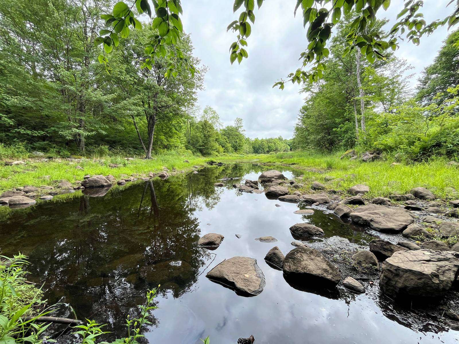 98 Acres of Recreational Land for Sale in Pitcairn, New York