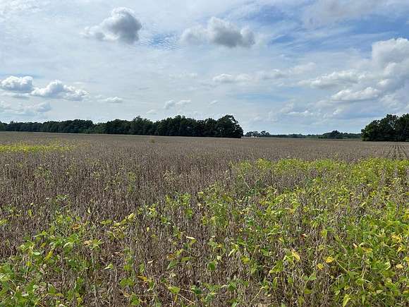 75.5 Acres of Land for Sale in Sledge, Mississippi