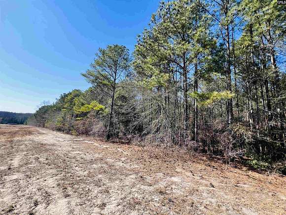 29.7 Acres of Mixed-Use Land for Sale in Leesville, South Carolina