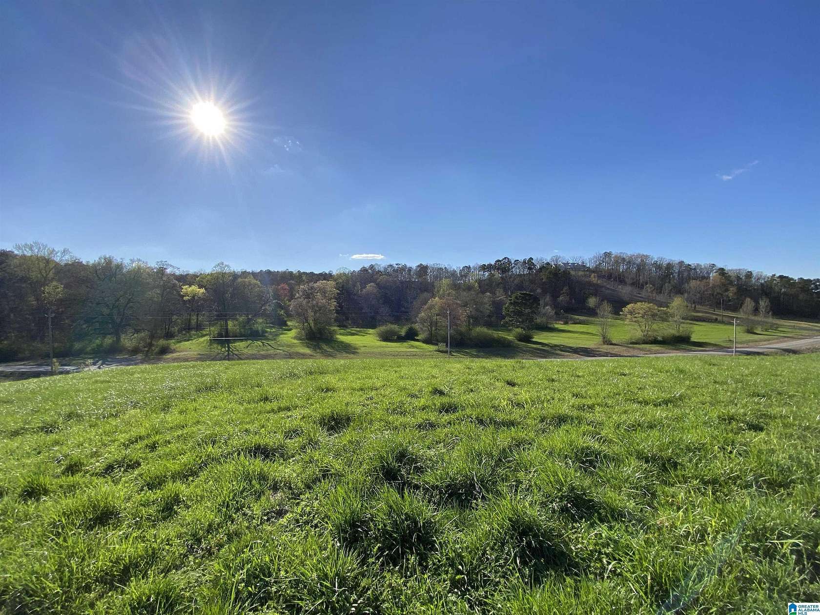 3 Acres of Residential Land for Sale in Springville, Alabama