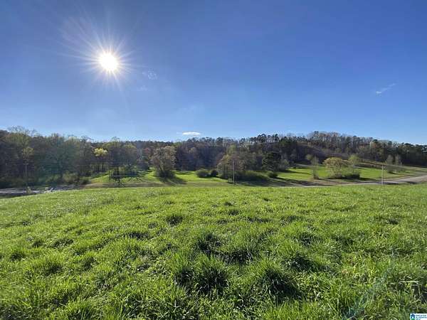 3 Acres of Residential Land for Sale in Springville, Alabama