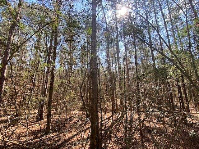 29 Acres of Recreational Land for Sale in Osyka, Mississippi