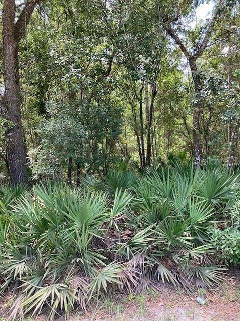 5 Acres of Land for Sale in Umatilla, Florida