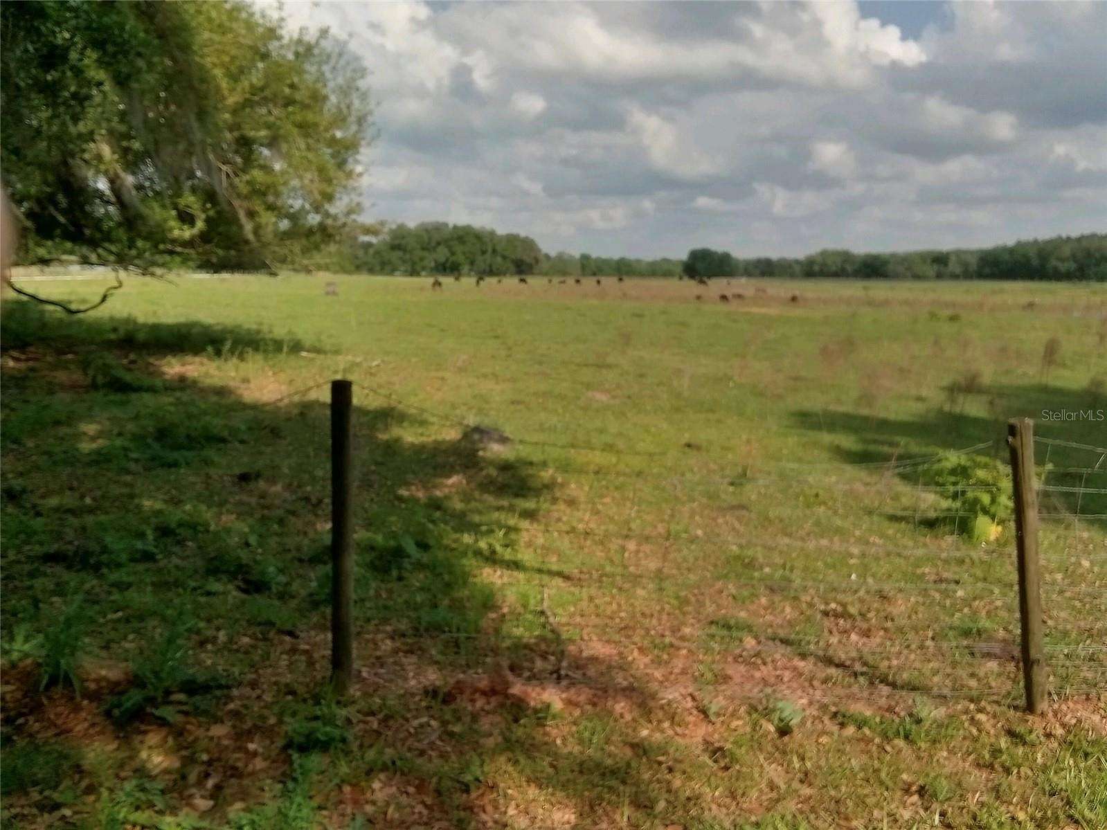 18.8 Acres of Agricultural Land for Sale in Webster, Florida