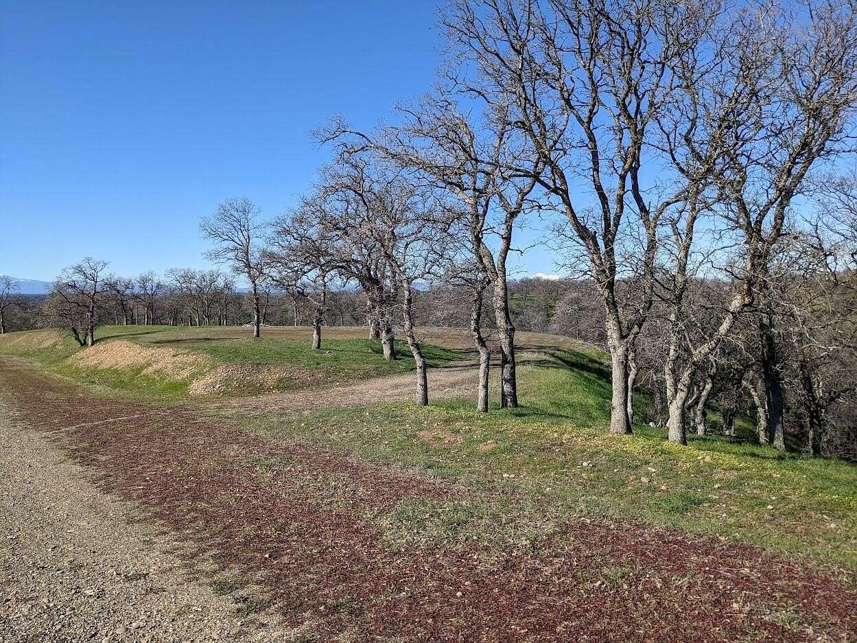 39.94 Acres of Land for Sale in Red Bluff, California