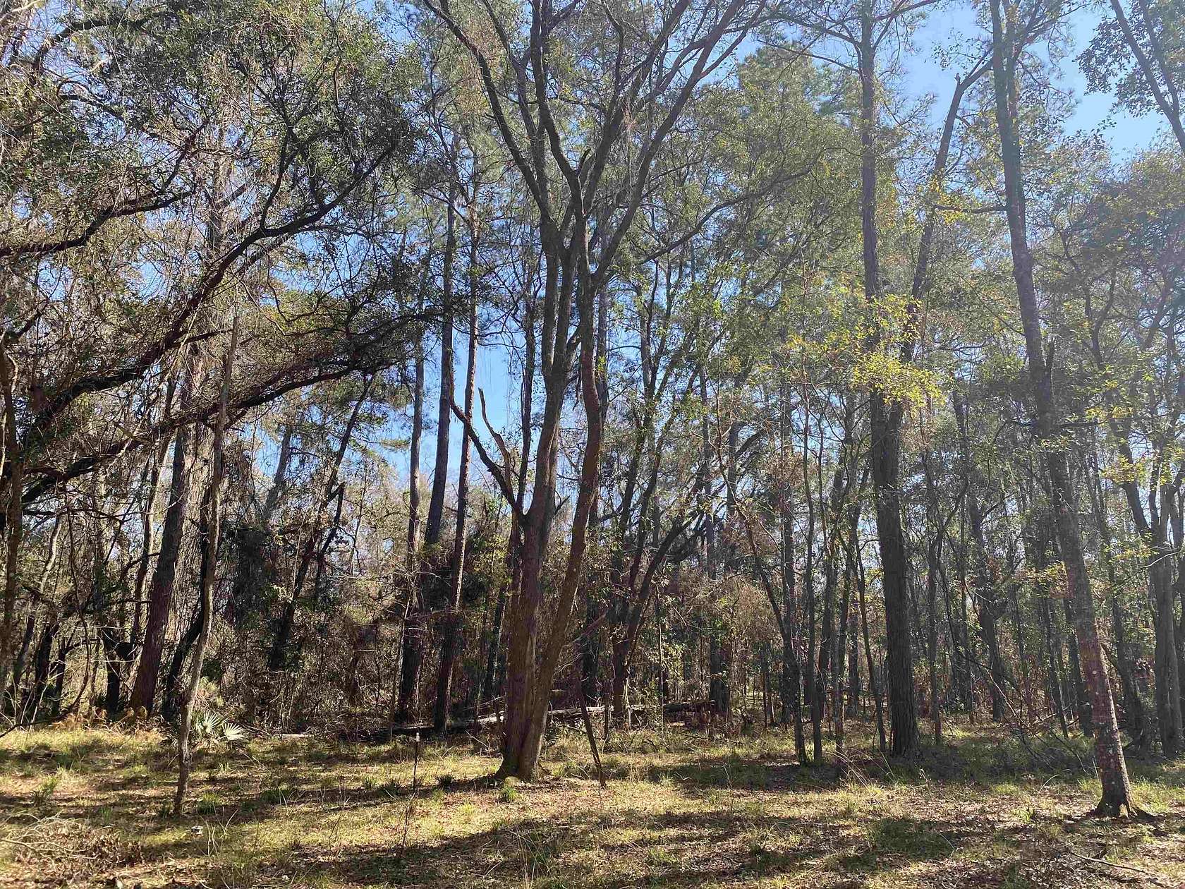 5 Acres of Land for Sale in Greenville, Florida