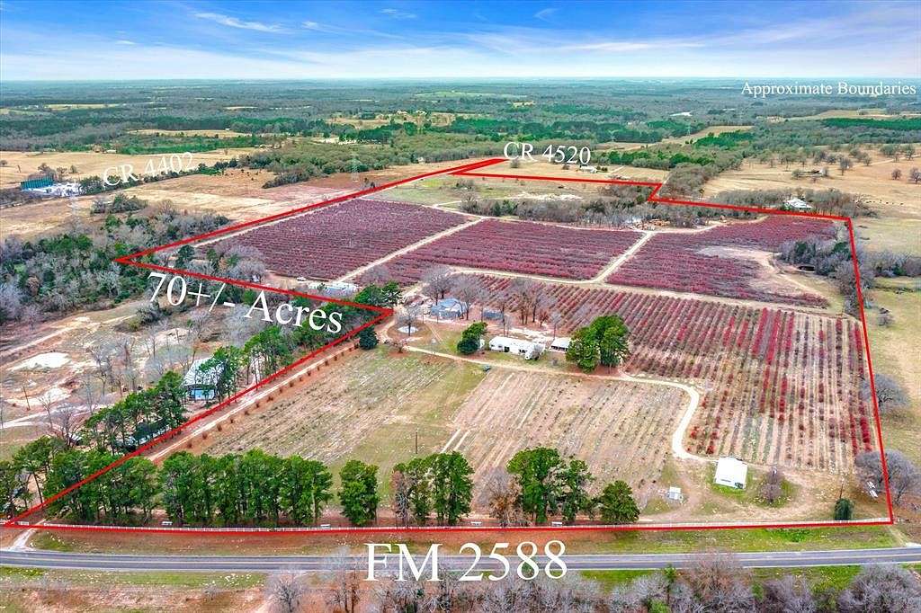70 Acres of Agricultural Land for Sale in LaRue, Texas