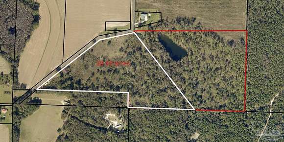 18.49 Acres of Land for Sale in Jay, Florida