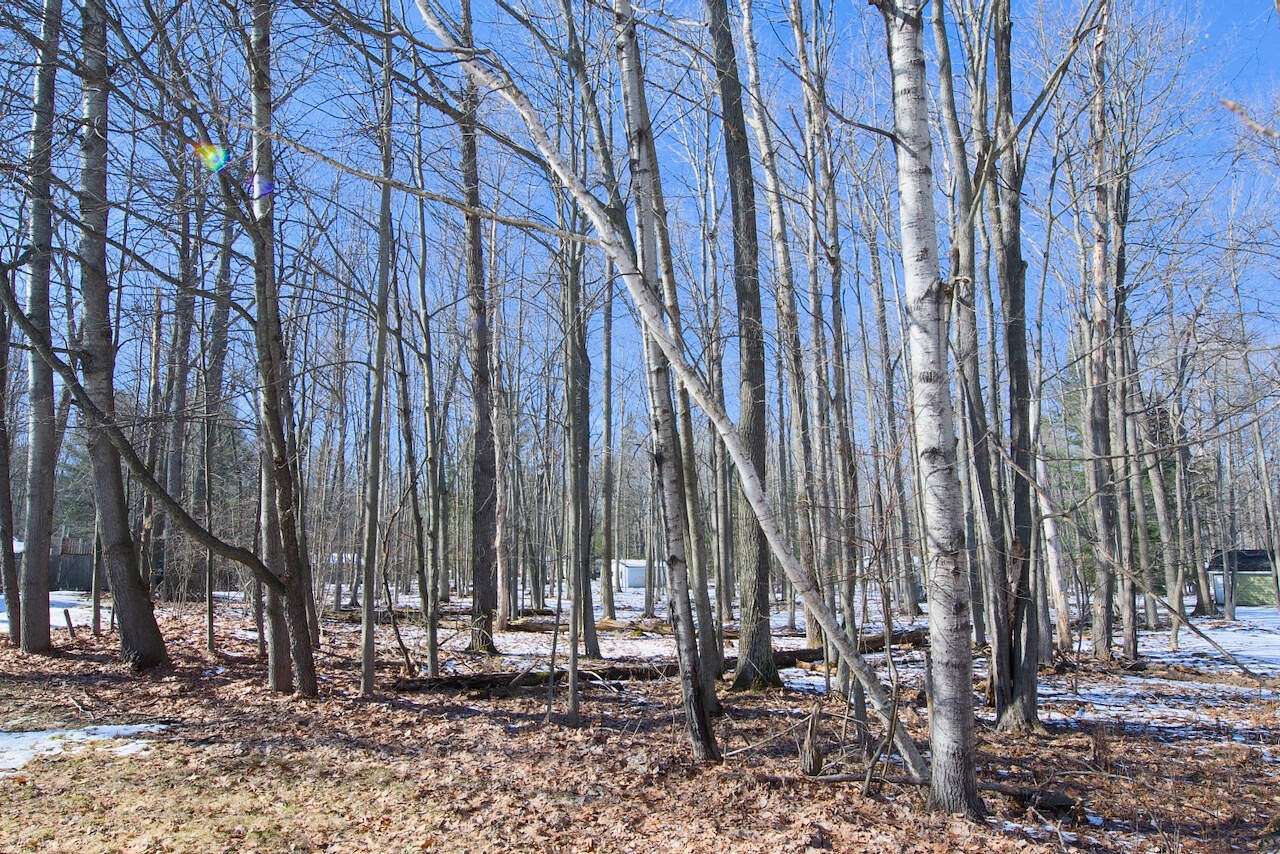0.35 Acres of Residential Land for Sale in Roscommon, Michigan