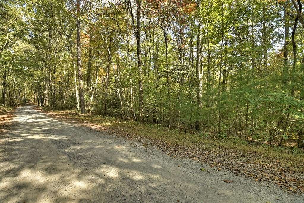 5.96 Acres of Land for Sale in Mineral Bluff, Georgia