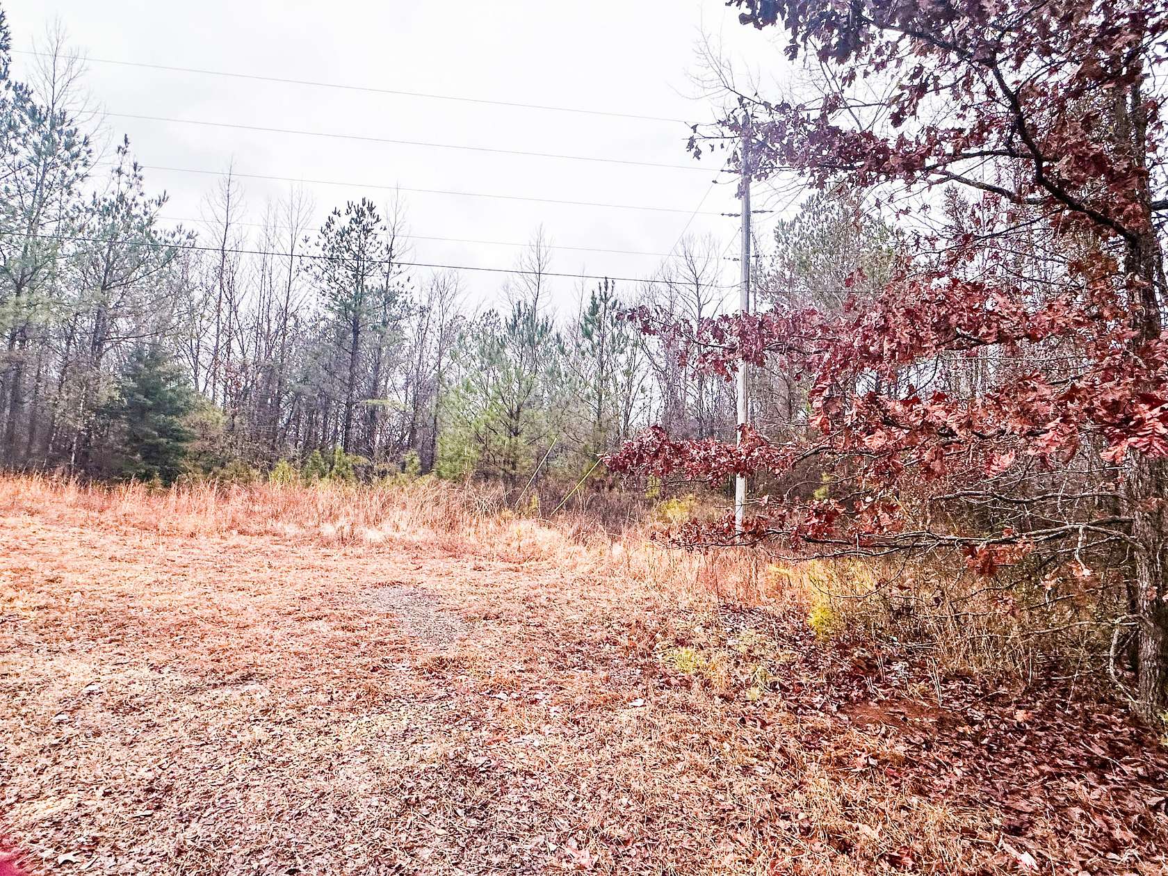 85 Acres of Recreational Land for Sale in Fulton, Mississippi