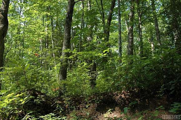 2.6 Acres of Land for Sale in Cashiers, North Carolina