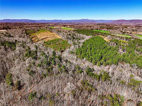 116 Acres of Agricultural Land for Sale in Dobson, North Carolina
