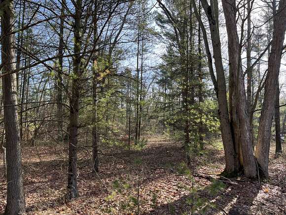 50 Acres of Recreational Land for Sale in Muskegon, Michigan