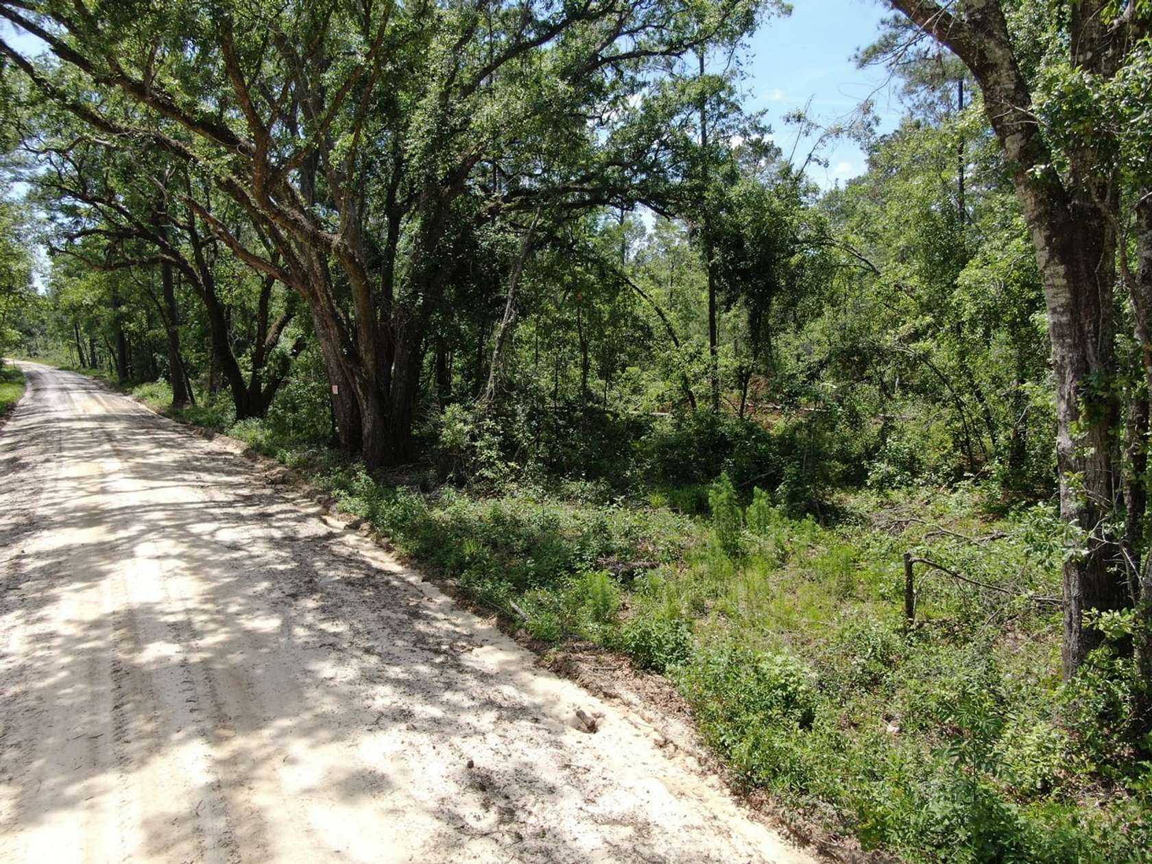 35.5 Acres of Recreational Land for Sale in Madison, Florida