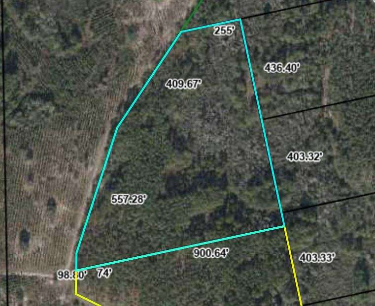 13.1 Acres of Recreational Land for Sale in Trenton, Florida
