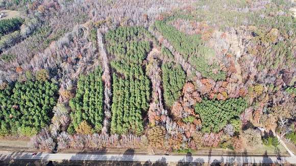 85 Acres of Land with Home for Sale in Myrtle, Mississippi