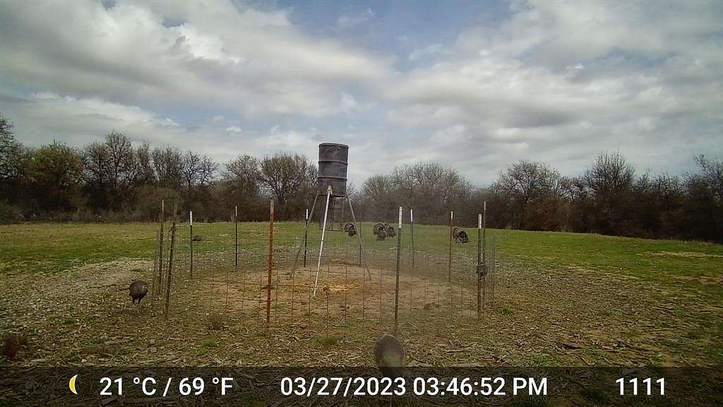 60 Acres of Land for Sale in Hawley, Texas