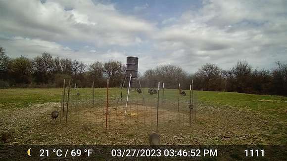 60 Acres of Land for Sale in Hawley, Texas