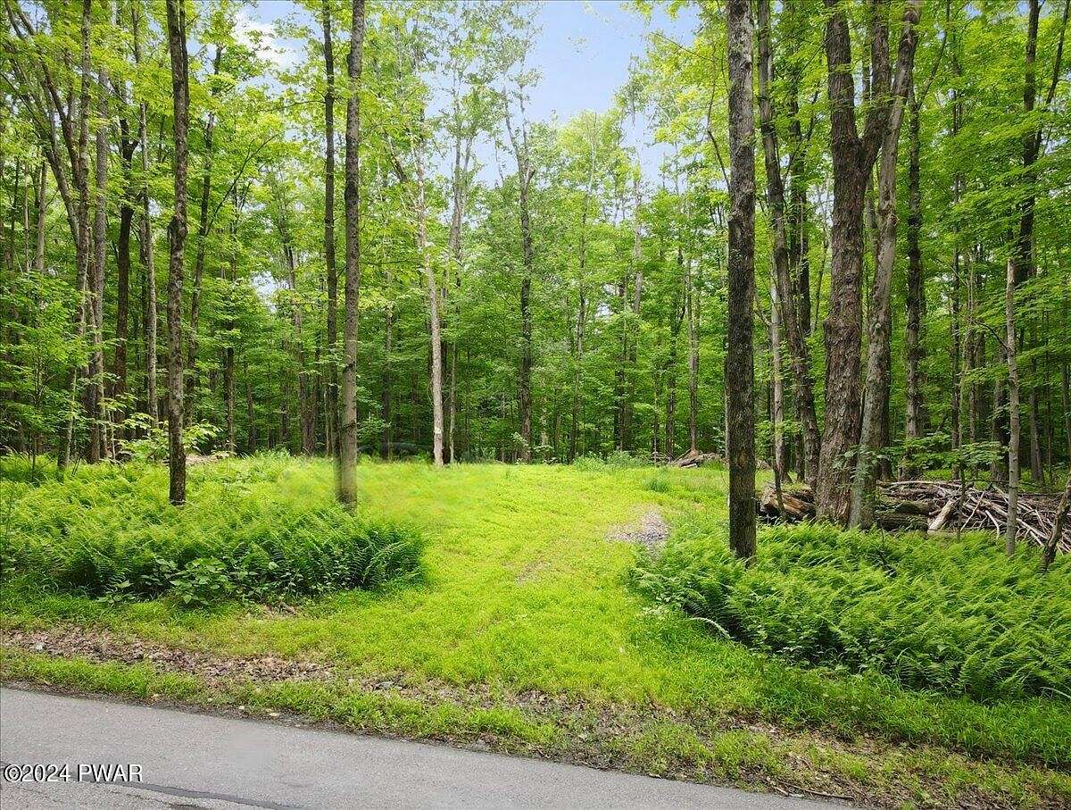 38.95 Acres of Recreational Land for Sale in Waymart, Pennsylvania