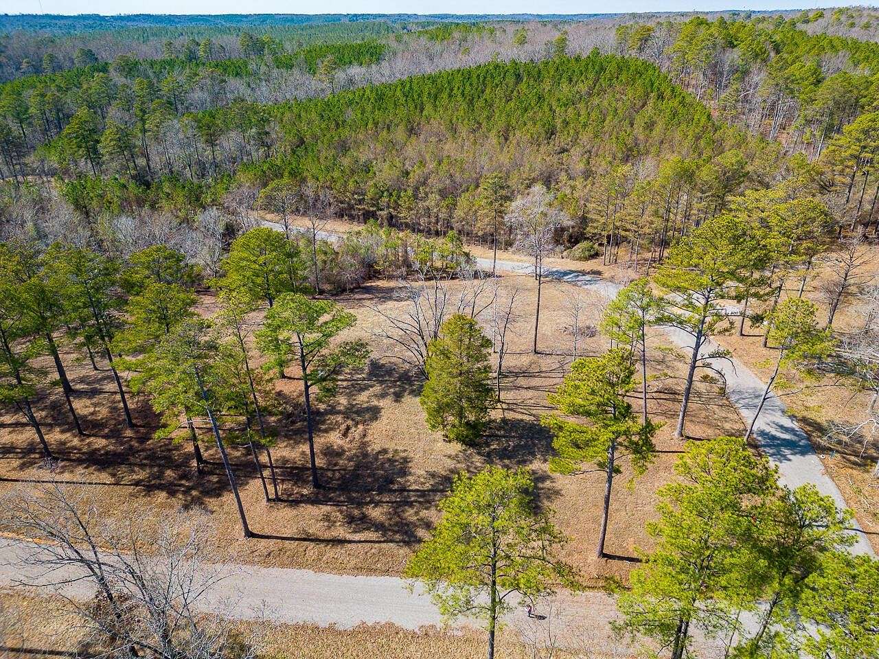 1.3 Acres of Land for Sale in Arley, Alabama
