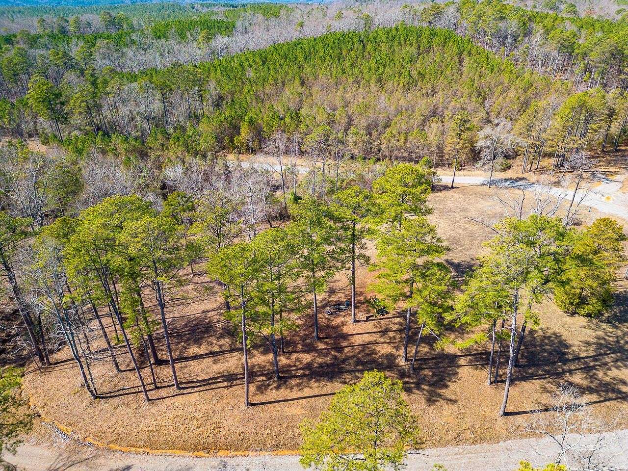 1.2 Acres of Land for Sale in Arley, Alabama