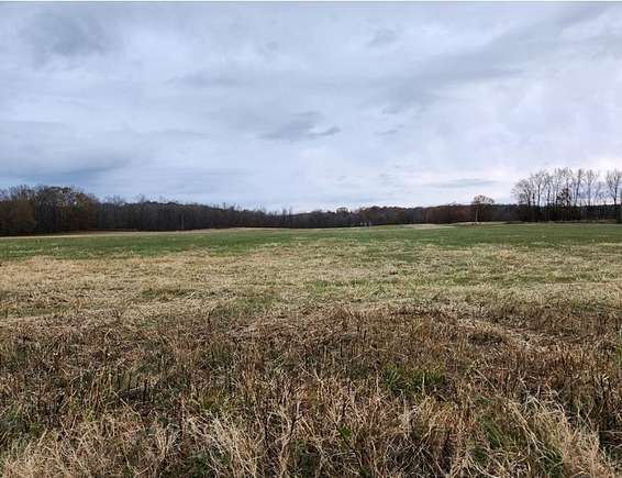 21.2 Acres of Agricultural Land for Sale in Paris, Tennessee