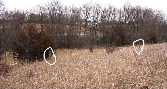 9.6 Acres of Residential Land for Sale in Independence, Minnesota