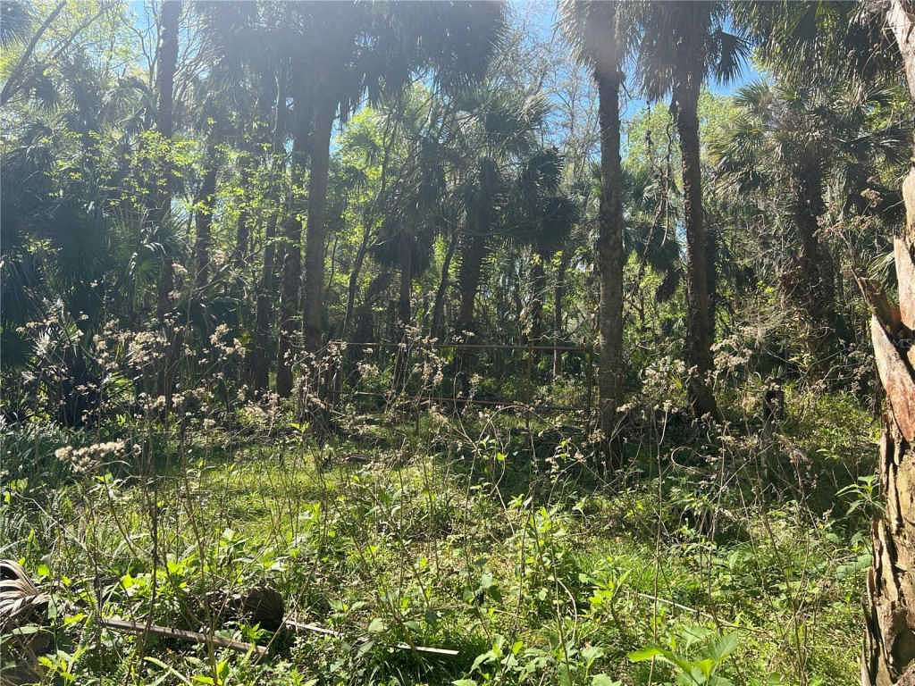 3.2 Acres of Residential Land for Sale in Deltona, Florida