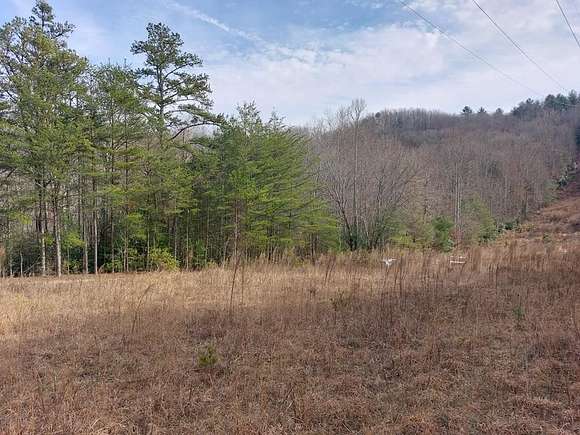 4.9 Acres of Land for Sale in Morganton, Georgia