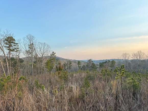4.8 Acres of Residential Land for Sale in Ranger, Georgia