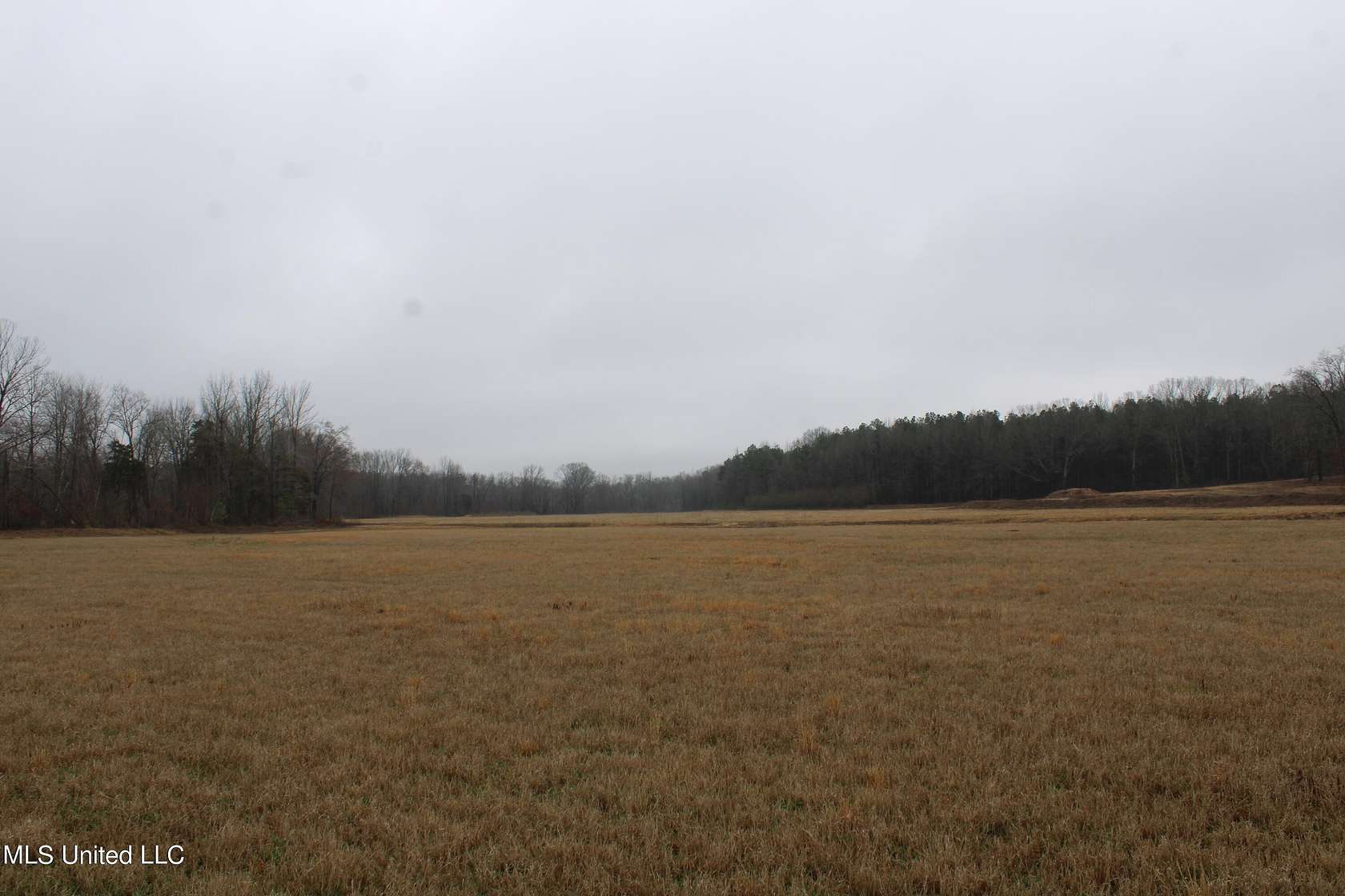 13 Acres of Land for Sale in Byhalia, Mississippi