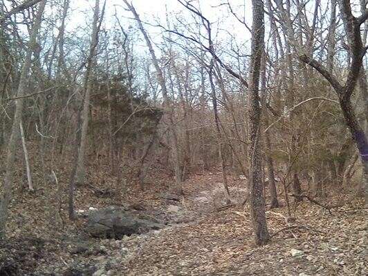 0.3 Acres of Residential Land for Sale in Pittsburg, Missouri
