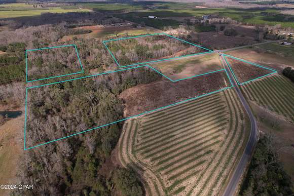 18.5 Acres of Land for Sale in Graceville, Florida