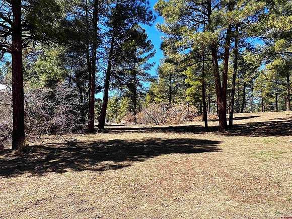 0.41 Acres of Residential Land for Sale in Pagosa Springs, Colorado