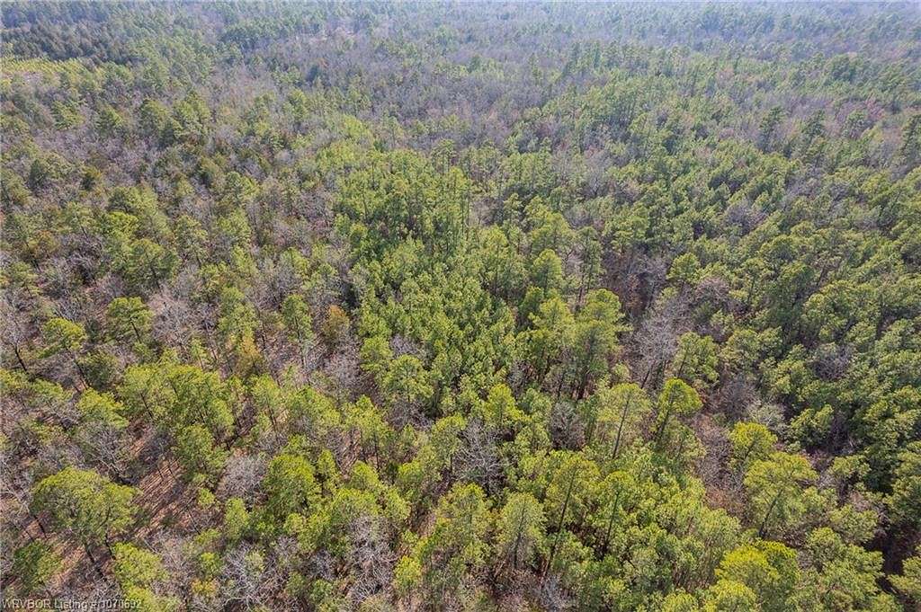 16.9 Acres of Recreational Land for Sale in Booneville, Arkansas
