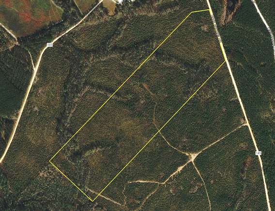 61.6 Acres of Recreational Land & Farm for Sale in Glenwood, Georgia