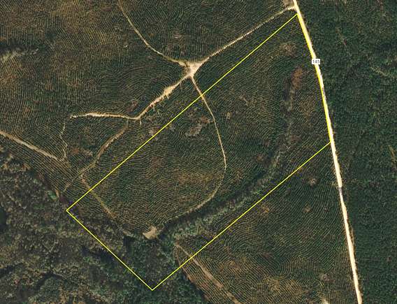 45.3 Acres of Recreational Land & Farm for Sale in Glenwood, Georgia