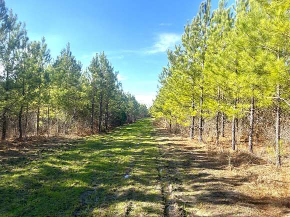 20.6 Acres of Recreational Land for Sale in Glenwood, Georgia