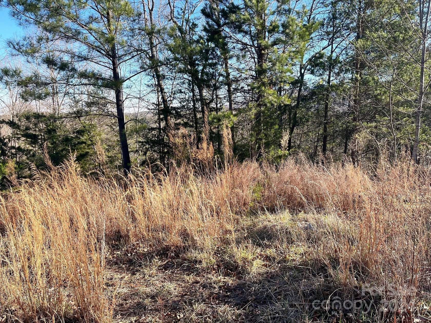 2 Acres of Residential Land for Sale in Mill Spring, North Carolina