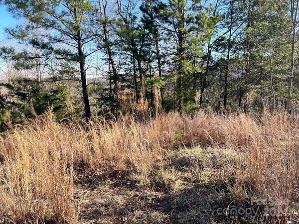 2 Acres of Residential Land for Sale in Mill Spring, North Carolina