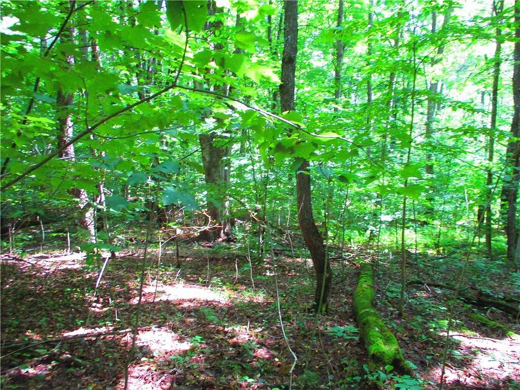 5.3 Acres of Residential Land for Sale in Hartwick, New York