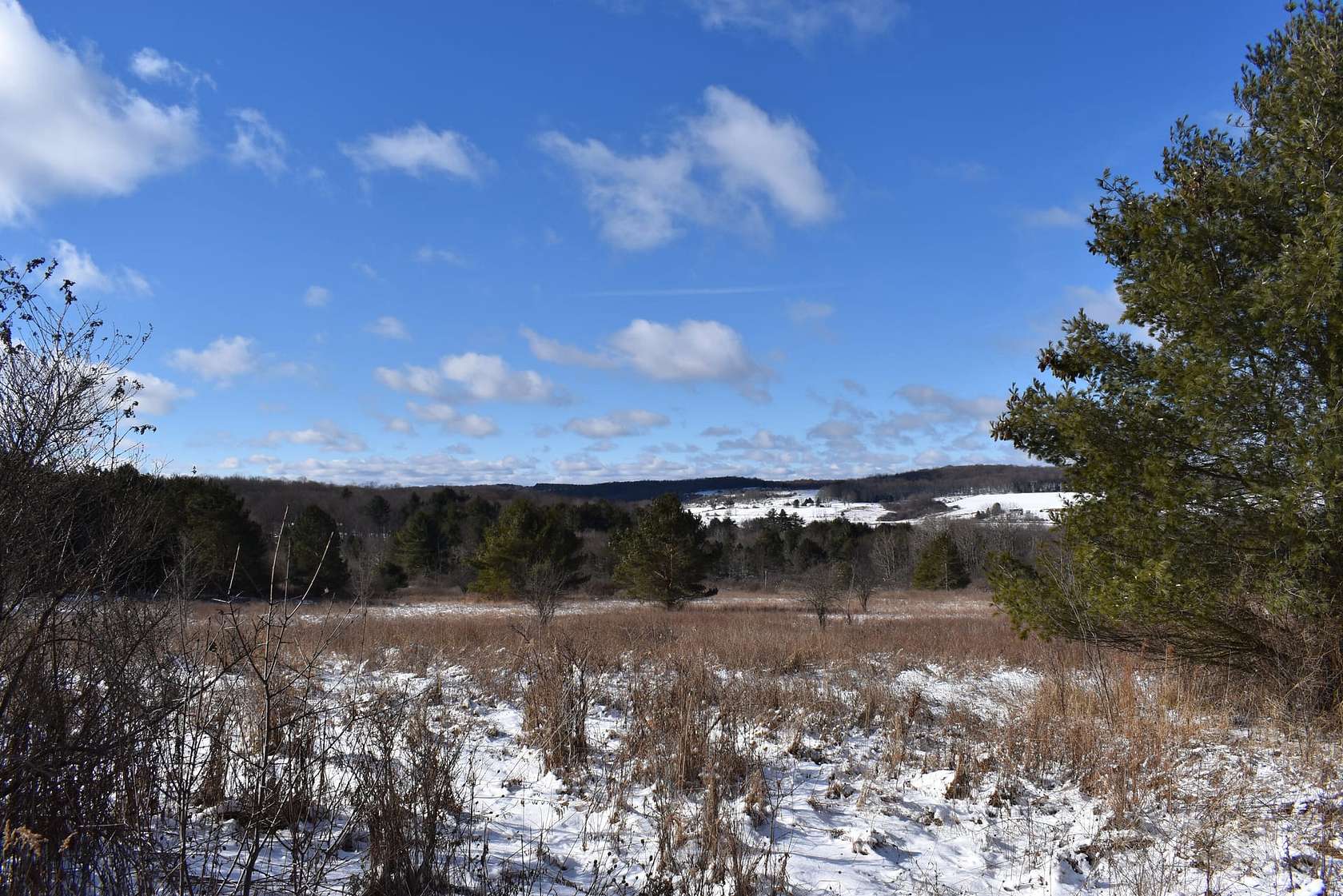 62.9 Acres of Recreational Land for Sale in Franklinville, New York