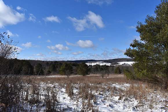 62.9 Acres of Recreational Land for Sale in Franklinville, New York